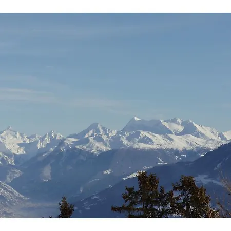 Apartment Spacious In Mollens Near Ski Area *