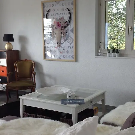Spacious In Mollens Near Ski Area Apartment *